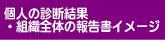 個人の診断結果・組織全体の報告書イメージ